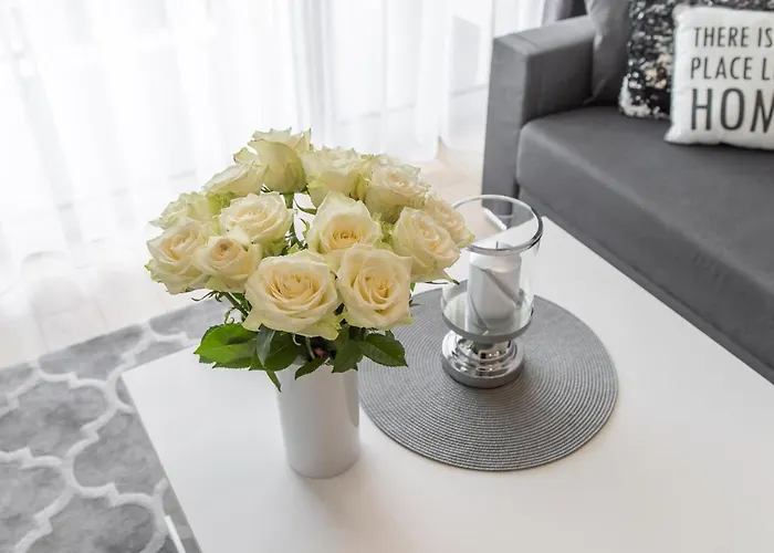 Chilliapartamenty - Navigator - Dmuchawce * Kolobrzeg